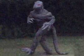 Thưởng 22 tỷ đồng cho ai bắt được dị nhân lai thằn lằn