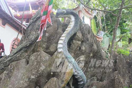 Những chuyện dựng tóc gáy quanh ngôi đền thờ rắn ở Tuyên Quang