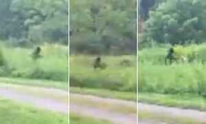 Clip: ‘Quái vật’ Bigfoot trong truyền thuyết lại xuất hiện ở Mỹ?