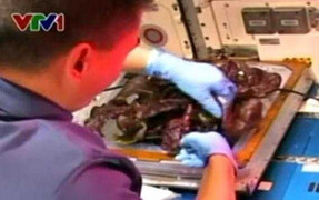 Clip: Phi hành gia NASA lần đầu ăn rau trồng trong không gian
