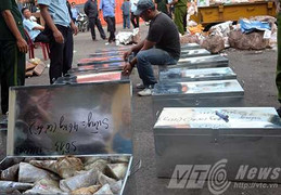 Phát hiện 1 tấn sừng tê giác, ngà voi lậu trị giá hàng trăm tỷ đồng