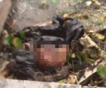 Sọ người đang phân hủy trong hồ trước UBND tỉnh Vĩnh Phúc