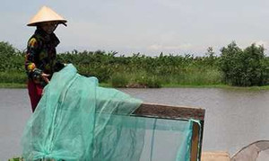 Gia cảnh ông Đoàn Văn Vươn sau ngày vướng vòng lao lý