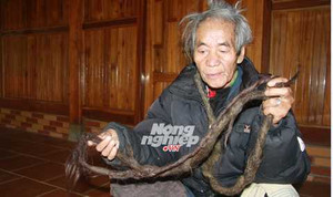 Dị nhân ở Sơn La: 70 năm không cắt tóc, gội đầu