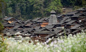 Bí ẩn loài hoa giúp mỗi gia đình trong làng có 1 trai, 1 gái