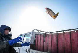 Hoang mang bao trùm Bangkok