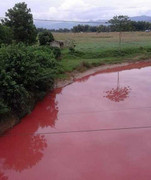 Vì sao xuất hiện dòng suối 'máu' bất thường ở Điện Biên?