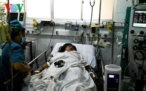 Bị ong đốt trên 150 mũi, thiếu niên may mắn thoát chết