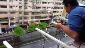 Câu cá từ ban công chung cư