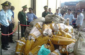 'Trà trộn' ngà voi trong container đậu đỏ đưa về Việt Nam