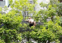 Nam thanh niên cởi trần nằm trên đường dây điện