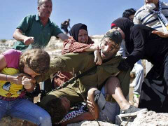 Phụ nữ Palestine 'cắn xé' binh sỹ Israel để bảo vệ con