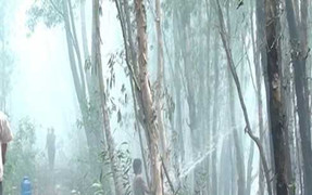 500 người khống chế đám cháy 20ha rừng tràm ở An Giang