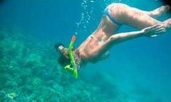 Hot girl săn nhím biển ở đảo Cô Tô