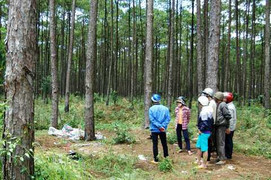 Đôi chân người lộ trên mặt đất: Dựng lại hiện trường vụ giết người dã man