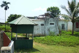 Dự án nhà máy xi măng Thanh Sơn nghìn tỷ 'chết yểu', dân nóng ruột… thả bò