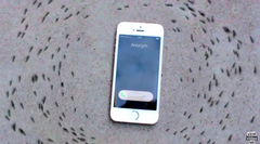 Video kiến bò thành vòng tròn quanh iPhone gây sốt YouTube
