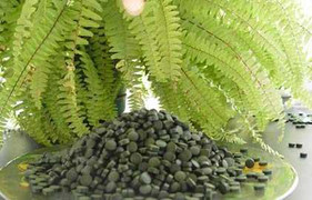 Tảo xoắn Spirulina của Công ty Vạn Thành buộc tạm dừng lưu thông