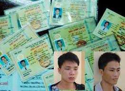 Giấy phép lái xe giả tung hoành ở Quảng Ngãi