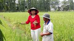 Khi phụ nữ làm khoa học