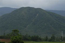 Kỳ bí chuyện cây đa thần chế ngự hòn đá mặt quỷ trên núi ở Bình Định