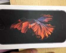 Lộ ảnh vỏ hộp 'cá Xiêm bơi lội' của iPhone 6S trước giờ G