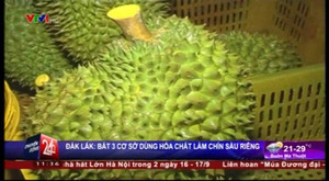 Cận cảnh cơ sở dùng chất cấm ép chín sầu riêng