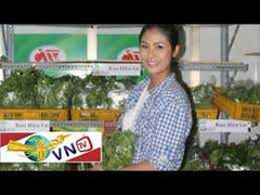 Rau muống baby đắt nhưng vẫn hút khách