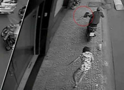 Bắt kẻ cướp chuyên phi tang túi xách trước cổng chùa