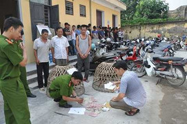 Nổ súng phá sới đá gà 'khủng', bắt giữ 33 người