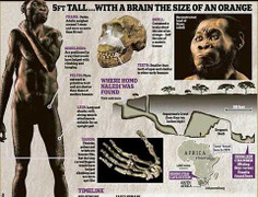 Khám phá bất ngờ về loài người tiền sử mới