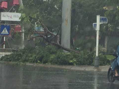 Tối nay, cơn bão số 3 đi vào Quảng Nam, Quảng Ngãi