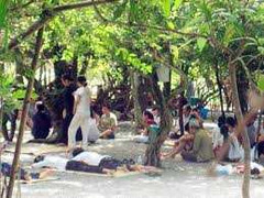 Xung quanh câu chuyện về cách chữa bệnh lạ