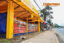 Cận cảnh bánh trung thu ế sưng dù giảm giá mạnh