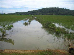 Đi đánh cá, đụng phải xác cháu bé 8 tuổi