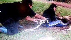 Clip: Liều mình vào ống cống sâu hun hút giải cứu cún con