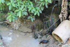 Dân khiếp sợ mùi thối từ nơi sản xuất bún