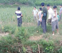 Kinh hãi phát hiện nhiều bộ phận cơ thể người dưới suối