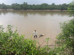 Phát hiện xác nam giới nổi lềnh bềnh trên sông Phước Long