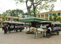 Hưng Yên: Đưa đón học sinh bằng xe ngựa tự chế