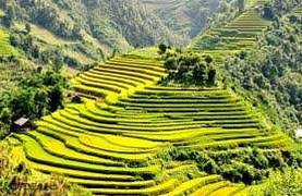 Vẻ đẹp nguyên sơ Mù Cang Chải