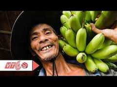 Tỷ phú làm nông: Ai được ai mất?