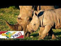 Gian nan bảo vệ động vật hoang dã quý hiếm