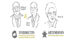 Nobel Y học 2015: Những bất ngờ từ thảo dược thiên nhiên