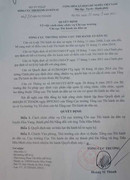 Chi sai tiền ngân sách, Chi cục trưởng Thi hành án dân sự bị cách chức