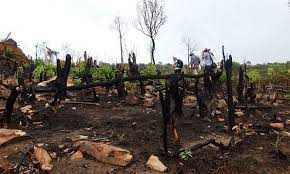 Đảo Phú Quốc: Vấn nạn rác thải, phá rừng