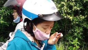 Bị khỉ tấn công trên bán đảo Sơn Trà, nữ du khách nhập viện