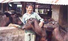 Anh hùng lao động Hồ Giáo: Người chăn bò vĩ đại