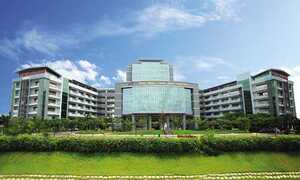 Đại học tự phong giáo sư, Bộ GD-ĐT chính thức phản hồi