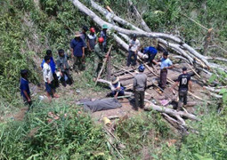 Một người đàn ông bị gỗ đè chết trong rừng